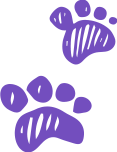 paw